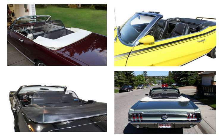 Classic convertible collection picture