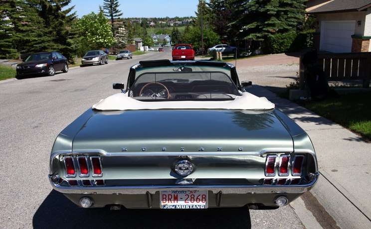 Green mustang classic convertible wind deflector